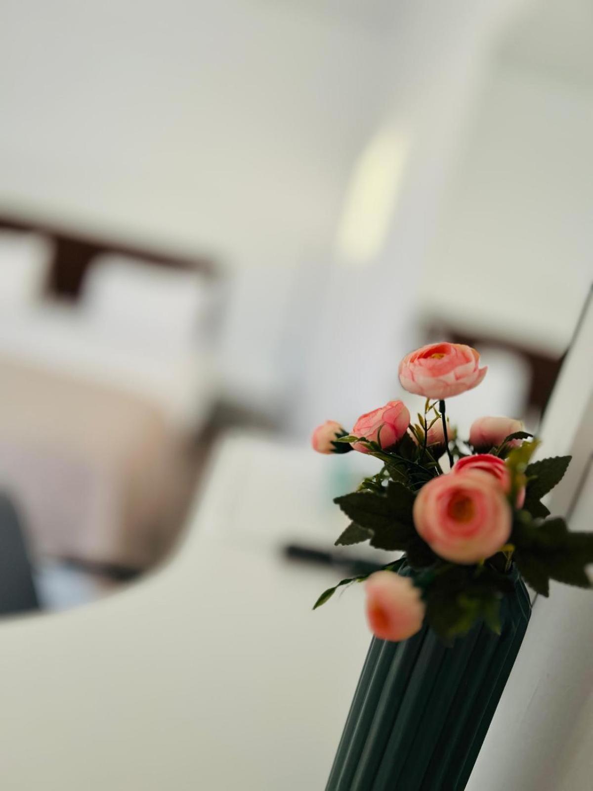 Hotel Casa Irina 2Mai à Două Mai Extérieur photo